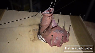 Hardcore CBT with Fishhooks and Needles