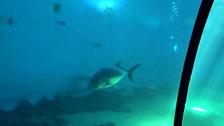 Hitch hiking teen outdoor public fuck in this hd video