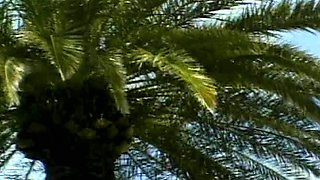 Purple Dildos Satisfy All Lesbian Urges These Two Blonde MILFs Have