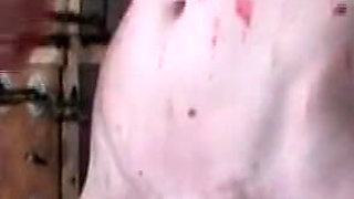 Humiliating mout tightening, wax play in bondage