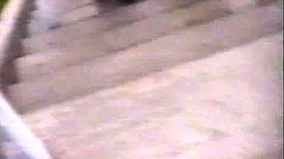 Others - Movie - Ben Dover-s - Sex In Public Places Vol.