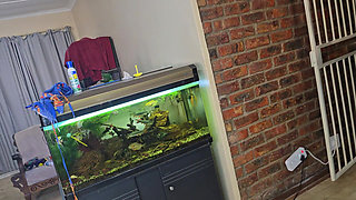 Cute 19 Year Old Blonde Riding Excersize Bike with Massive Dildo