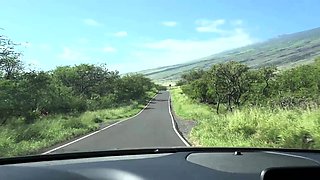 Party teen blowjob cumshot