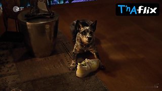 Cosima Henman Bootie, Hooters Episode in Extraklasse two+