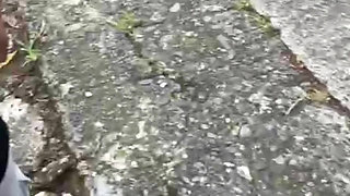 After merging him, he paid me in kind