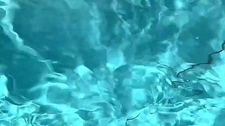 Dangerous Creature in the Water