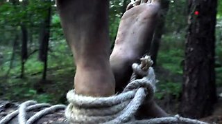 HORROR PORN: The Dark Side of The Woods